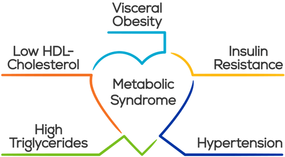 Natural weight loss in Toronto for metabolic syndrome